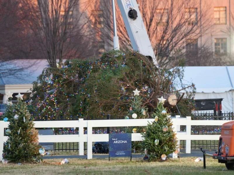 Los vientos, que alcanzaron ráfagas superiores a los 48 km/h (30 mph), con una máxima de 69 km/h (43 mph) en el Aeropuerto Nacional Reagan, contribuyeron al derribo del árbol. Foto: Especial.