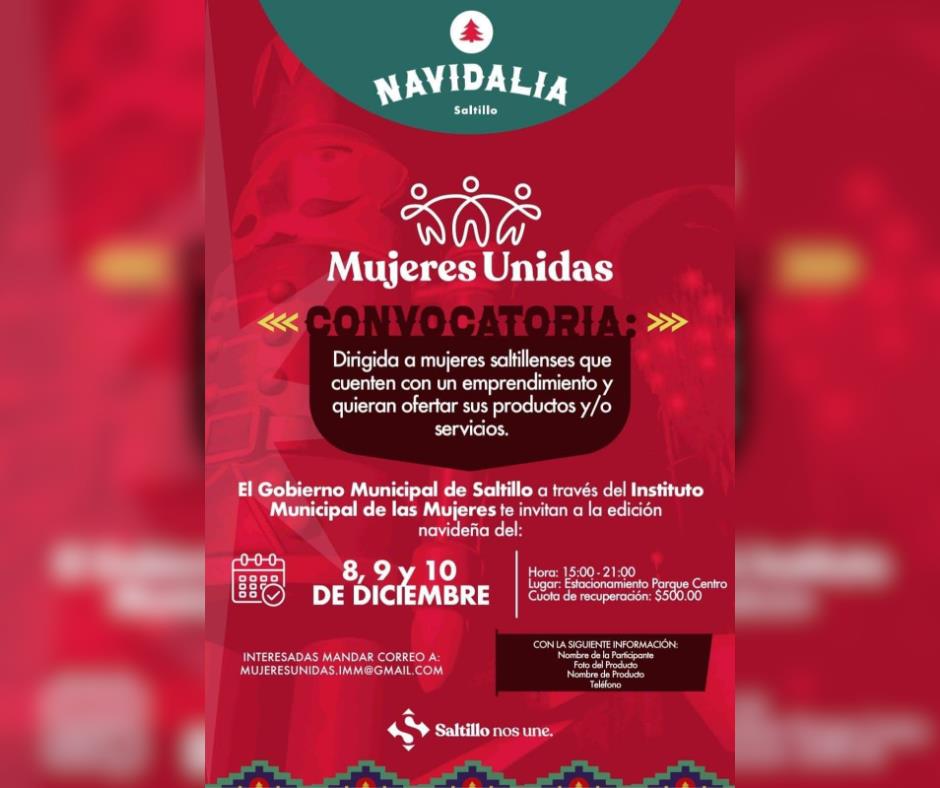 Flyer de Navidalia. Fotografía de Gobierno Municipal.