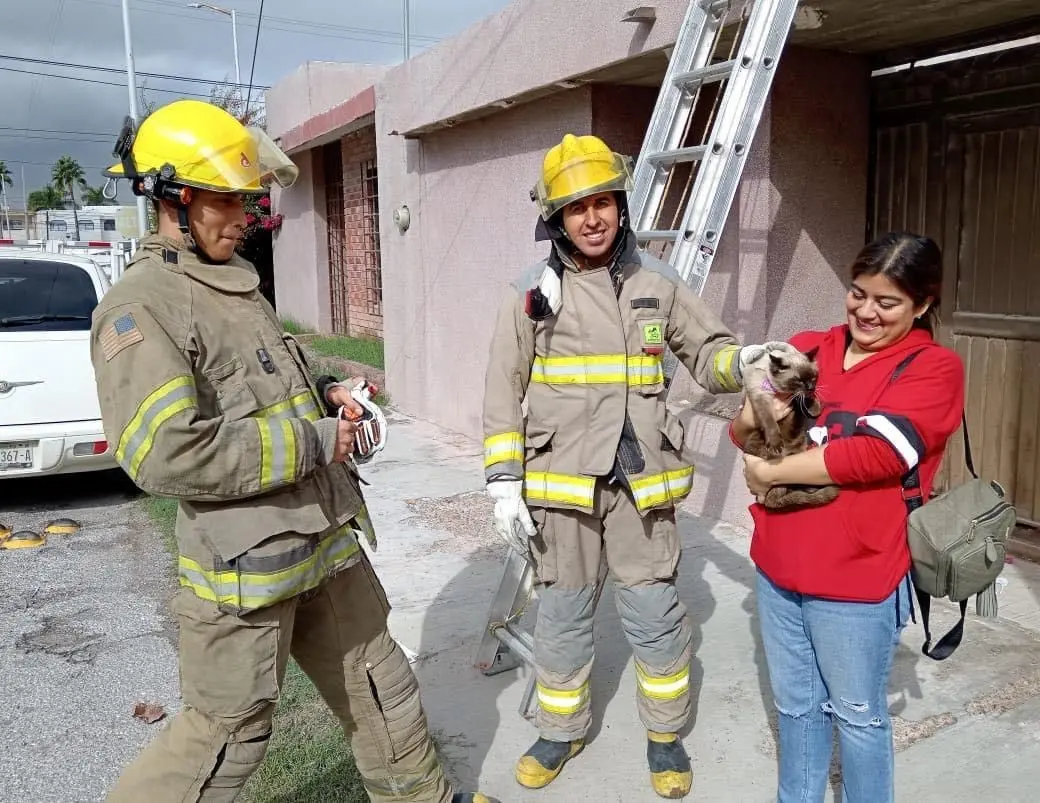 La Dirección de Protección Civil atiende reportes para rescatar animales. (Fotografía: Gobierno de Torreón)