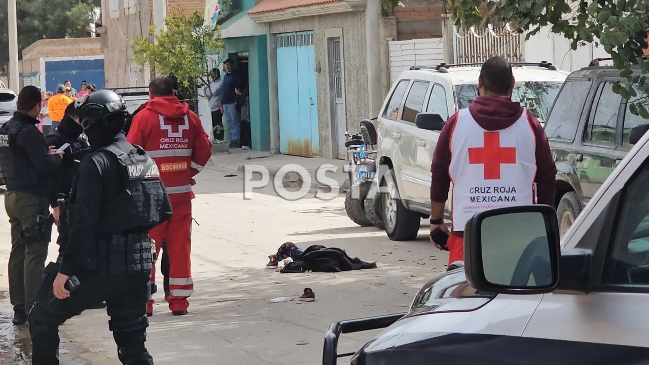 Su incorporación al arroyo vehicular fue tan abrupto que el conductor no alcanzó a frenar. Foto: Especial