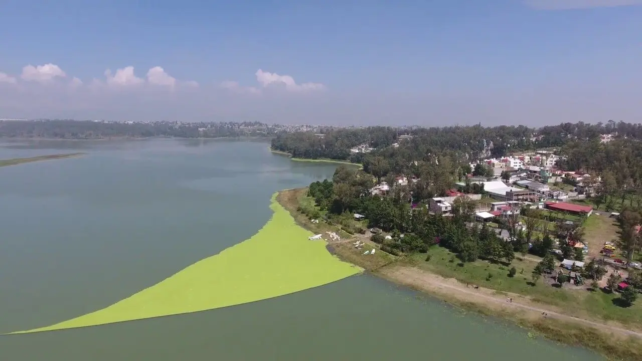 El incremento de construcción de vivienda pone en riesgo los bosques del Estado de México, advierte la Conafor . Foto: Captura de pantalla