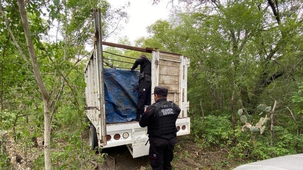 Elementos de la Guardia Estatal aseguran hidrocarburo en el ejido Las Carboneras de Victoria. Foto: Agencia