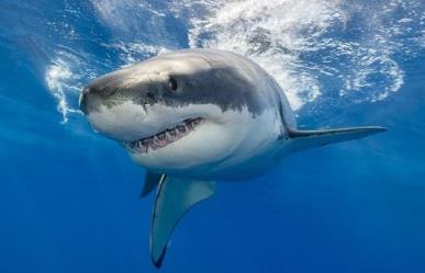 Mata tiburón a mujer en Bahía de Melaque, Jalisco