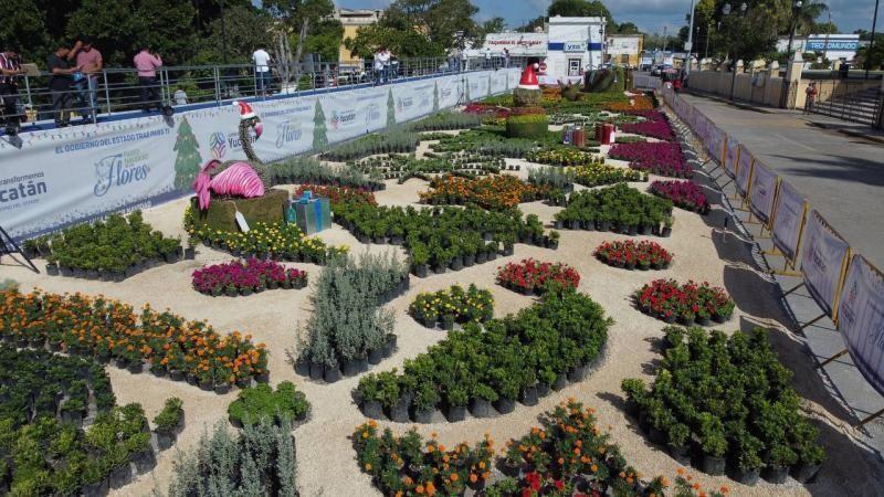 El atractivo Paseo de las flores. Foto: Gobierno de Yucatán