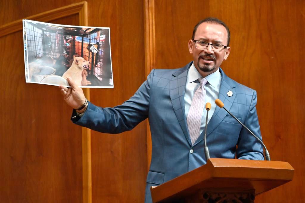 La mayoría estos lugares carece de permisos de salubridad: Omar Ortega. Imagen: Legismex.