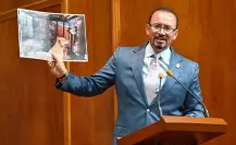 Buscan prohibir venta de animales en mercados del Edomex