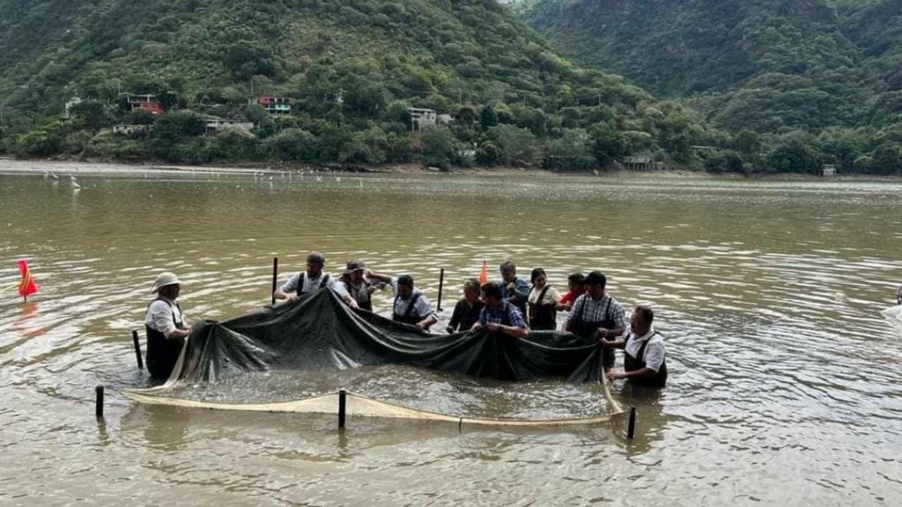 La acuacultura es impulsada por las autoridades del Estado de México como una alternativa para mejorar la economía de las familias mexiquenses. Foto: Secretaría del Campo Edomex