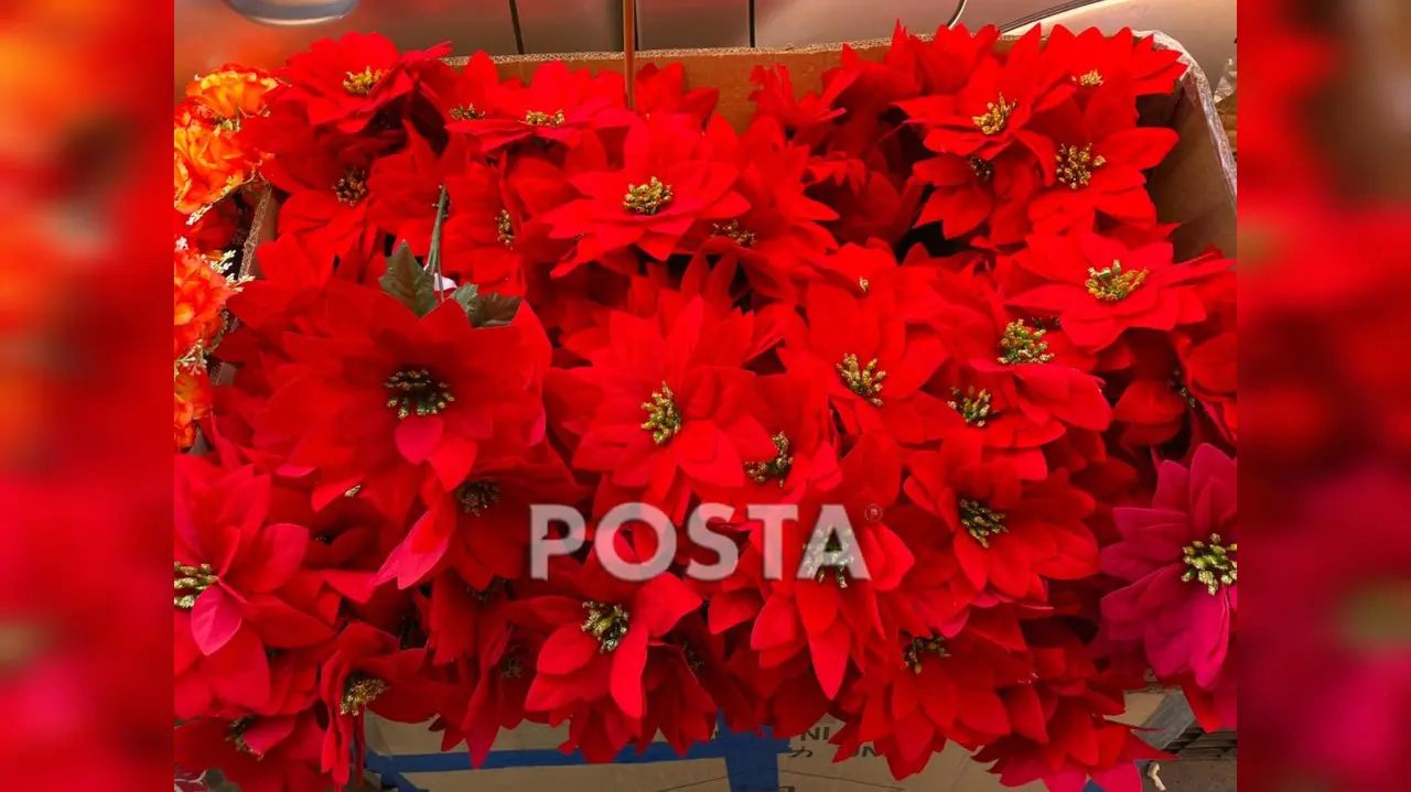 ¿Cuánto cuesta decorar la casa en navidad?