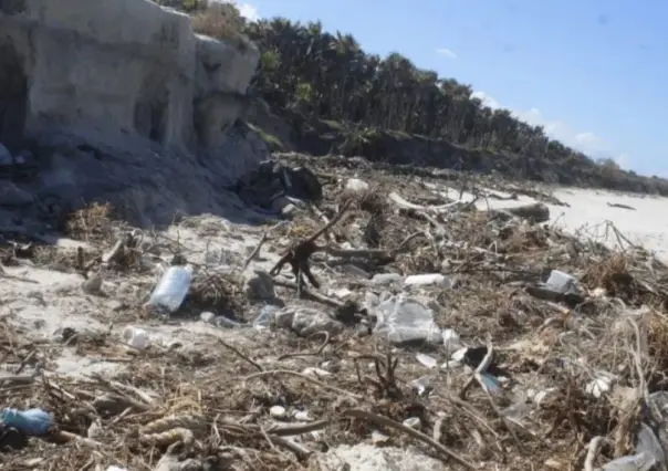 Contaminación en Río Lagartos: Grave problema en importante destino turístico