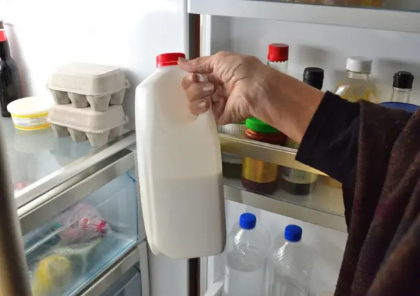 ¿Tomas mucha leche? Los daños que hace a los riñones