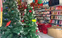¿Cuánto cuestan los árboles de Navidad en Mérida? ¿Cuánto cuestan los árboles de Navidad en Mérida?