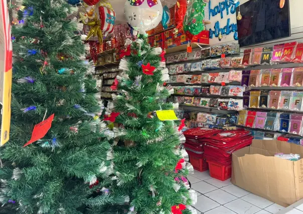 ¿Cuánto cuestan los árboles de Navidad en Mérida?