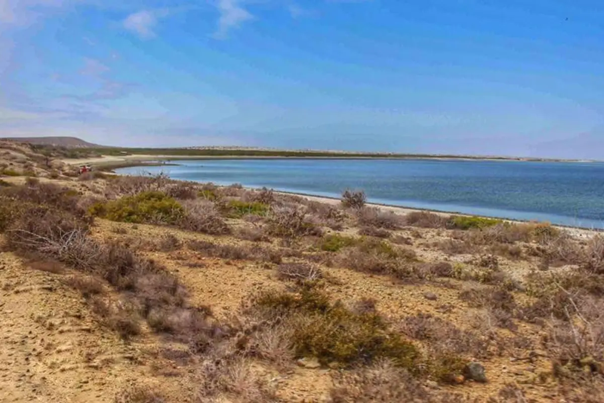 Isla Magdalena se encuentra al oeste de Ciudad Constitución en el municipio de Comondú. Foto: Facebook Sectur BCS