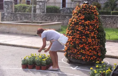 Va tomando forma el paseo de las flores en Umán
