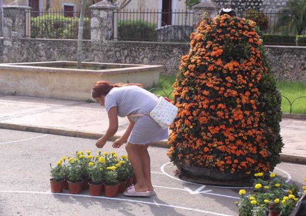 Va tomando forma el paseo de las flores en Umán