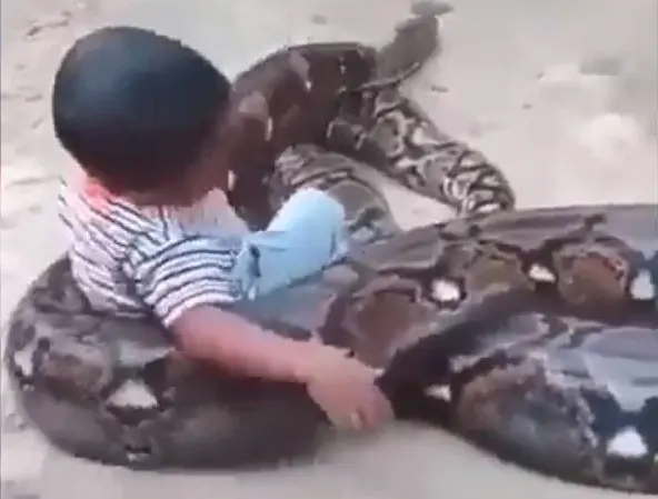 Juega niña con serpiente en Indonesia ¡Parecía su mascota!