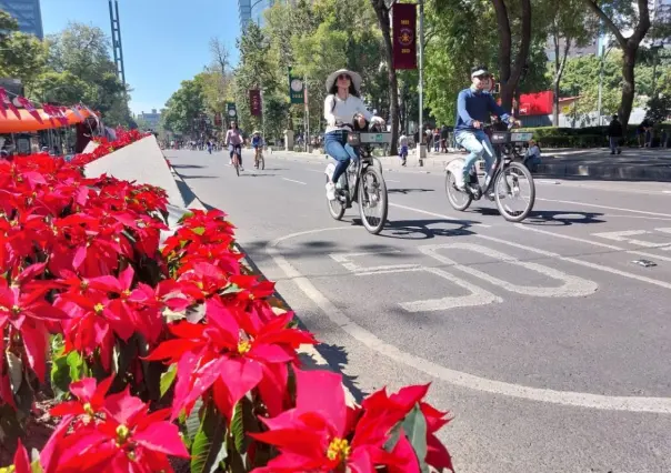 ¡Prepara tu bici! Todo lo que tienes que saber sobre el paseo nocturno navideño