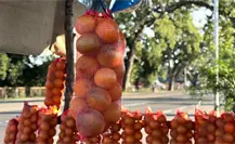 Descubre la naranja más dulce de México en Tamaulipas Descubre la naranja más dulce de México en Tamaulipas