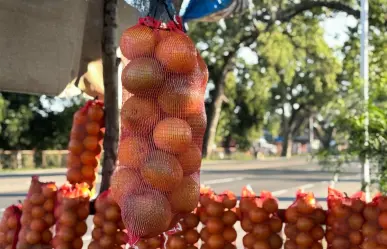 Descubre la naranja más dulce de México en Tamaulipas