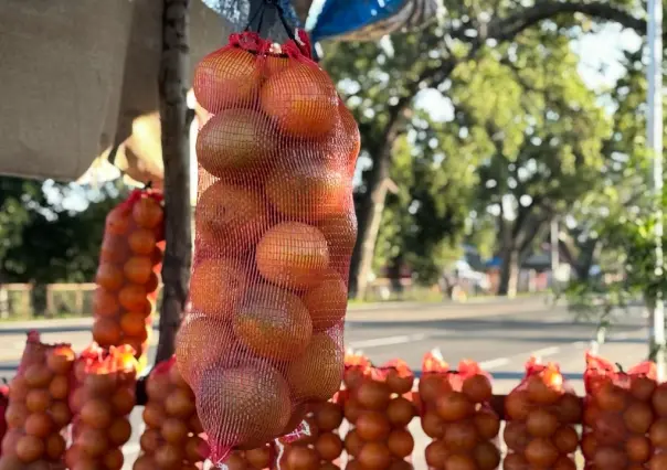 Descubre la naranja más dulce de México en Tamaulipas