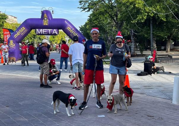 Caminata canina en Mérida para apoyar a asociaciones rescatistas