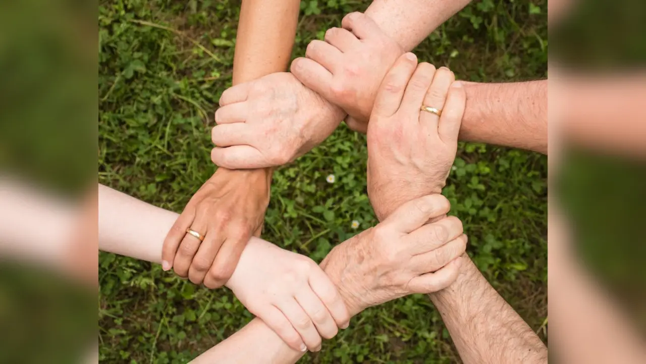 El 10 de diciembre se conmemora la Declaración Universal de Derechos Humanos / Foto: Pexels