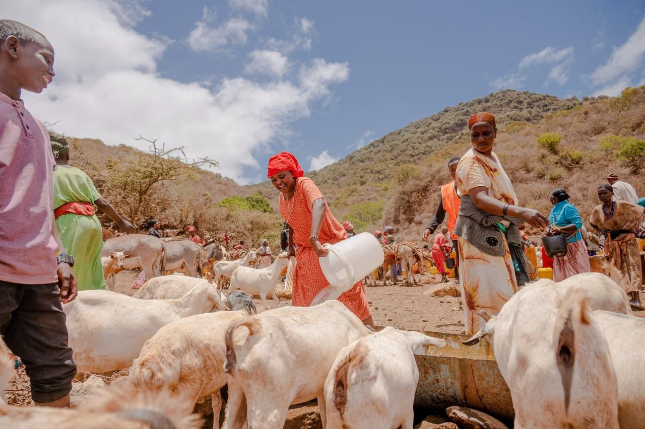 Cinco países de África oriental y meridional están experimentando actualmente brotes de ántrax,. Foto. @MoetiTshidi