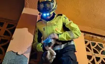 Rescatan a gato atrapado entre paredes en Monterrey