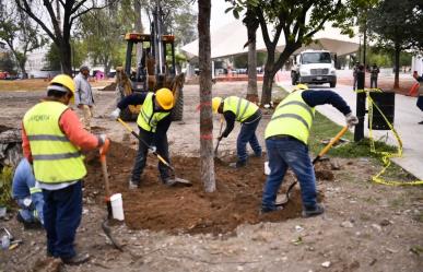 Inicia Monterrey plantación de árboles en la Alameda