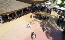 Dan a conocer a ganadores del festival MaQueCho de San Antonio