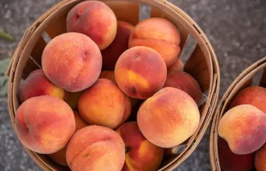 Cuidado, alertan por frutas contaminadas importadas de EEUU