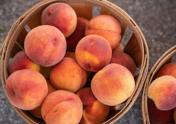 Cuidado, alertan por frutas contaminadas importadas de EEUU