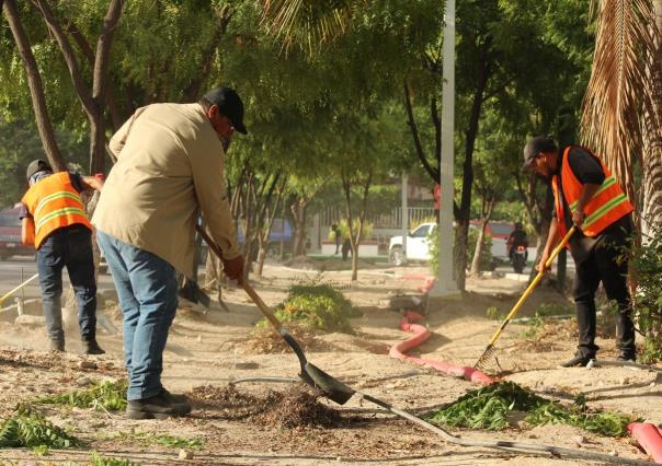 Programa de empleo temporal en La Paz: éxito y posibilidad de extensión