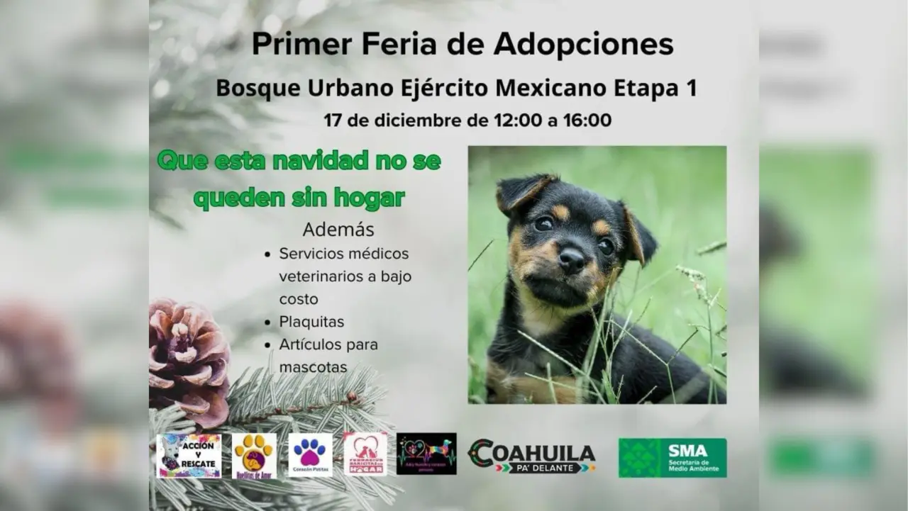 Se aproxima la Primera Feria de Adopciones en Saltillo, por parte de la Secretaría del Medio Ambiente Coahuila / Foto: SMA Coahuila