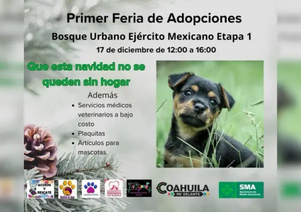 ¿Buscas adoptar una mascota? Aquí te decimos donde puedes hacerlo