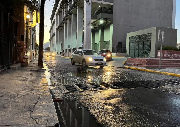 Tapa de drenaje abierta derrama residuos fecales y rata muerta en Monterrey