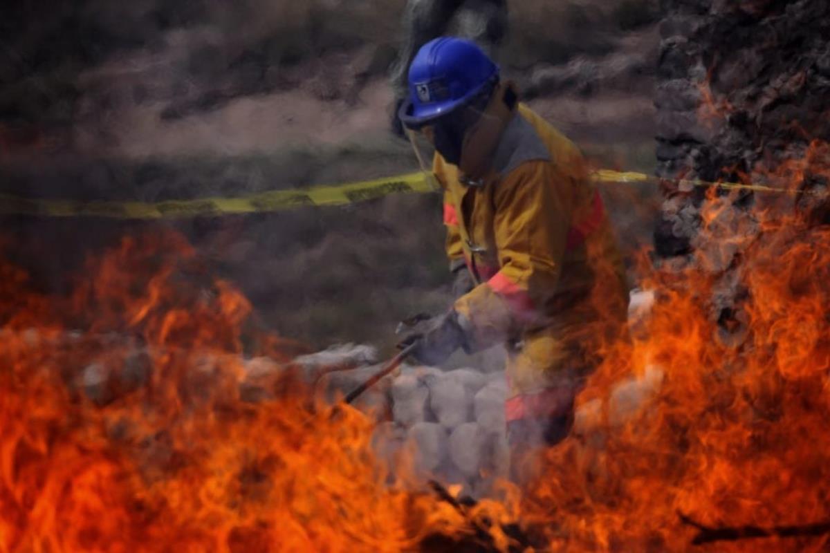 Fiscalía de la Ciudad de México destruye más de 53 mil dosis de narcóticos. Foto: Fiscalía CDMX