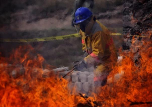 Fiscalía de la Ciudad de México destruye más de 53 mil dosis de narcóticos