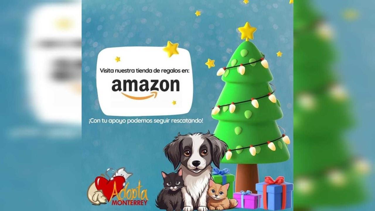 Adopta Monterrey es un centro de adopciones que promueve las adopciones de forma responsable desde el 2013. Foto: Cynthia Pardo