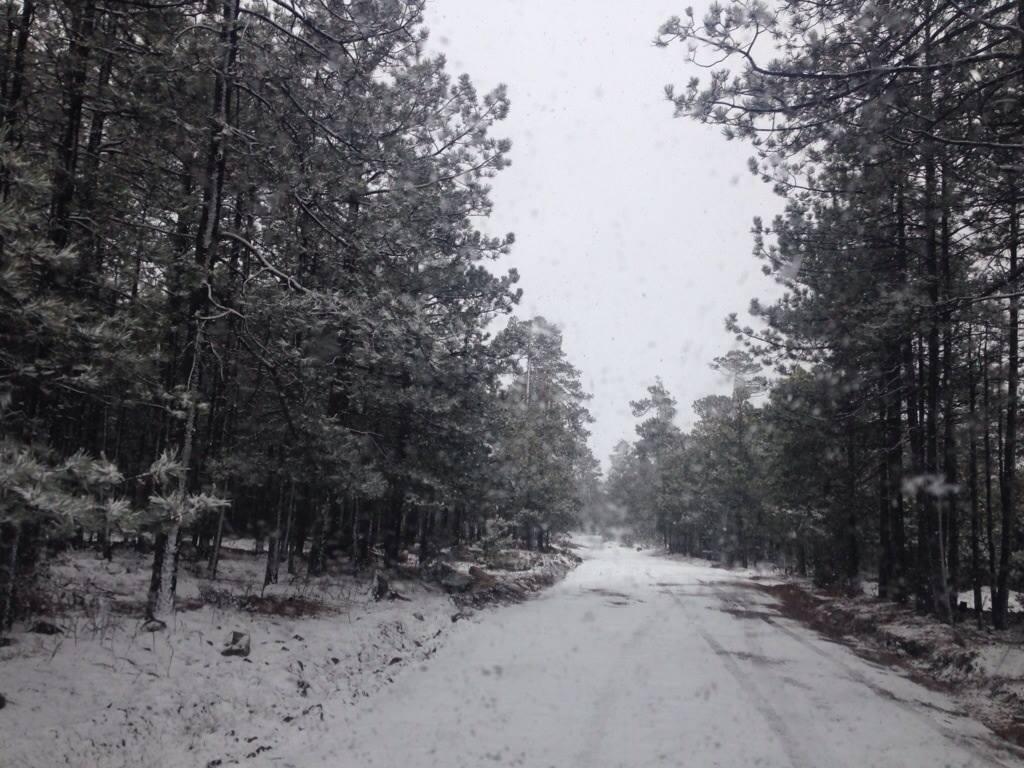 Se pronostican nevadas para la zona de la sierra durante Navidad. Foto: Brenda García.