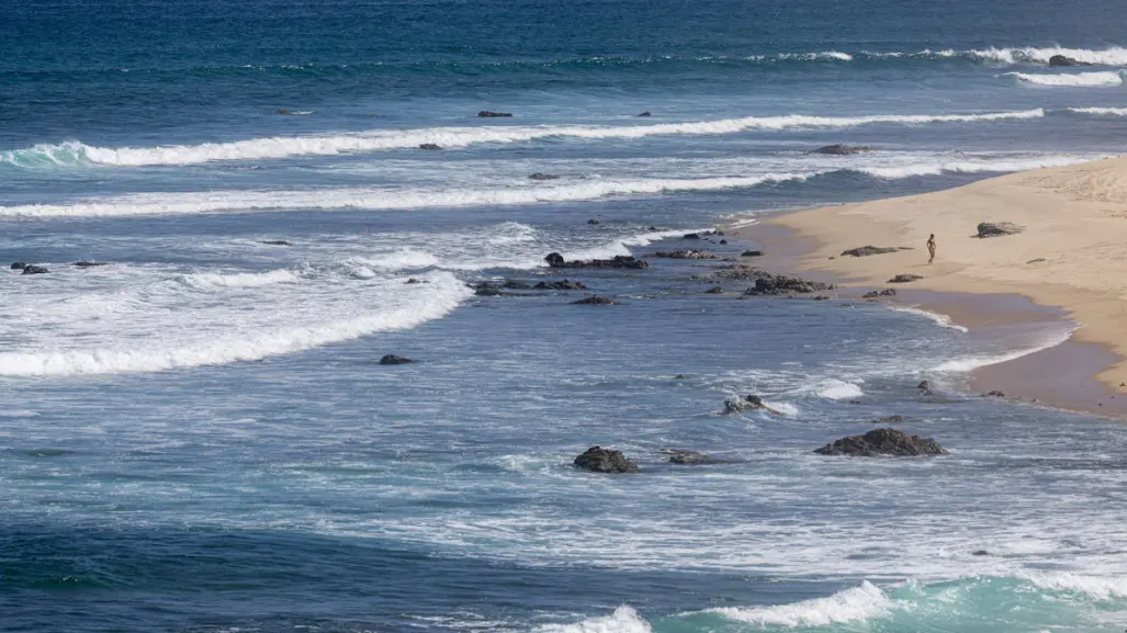 Playas de Baja California Norte y Sinaloa no aptas para turistas