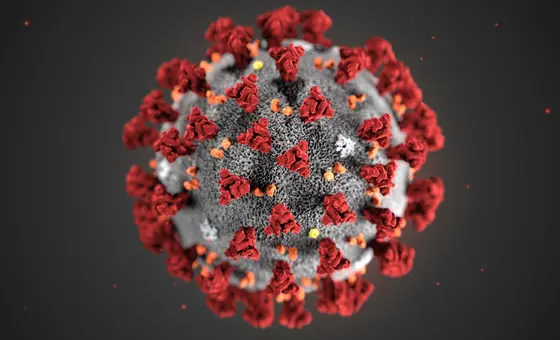 Nueva variante del COVIOD-19, Pirola, es detectada por primera vez en México. Fuente: Naciones Unidas