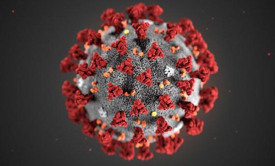 La nueva variante de COVID-19, Pirola, es detectada en México