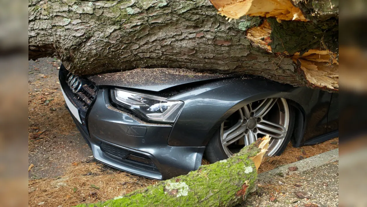 Durante la temporada de fiestas decembrinas la ciudadanía padece un Incremento de accidentes automovilísticos / Foto:  Mike Bird