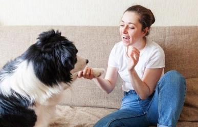 ¿Las haz dicho? Las 15 palabras que tu perro entiende