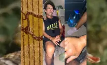 Aumentan los casos de mordeduras de serpientes en Yucatán durante el 2023