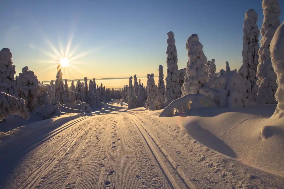 El solsticio de invierno ocurrirá este 21 de diciembre, marcando el inicio del invierno y la noche más larga del año