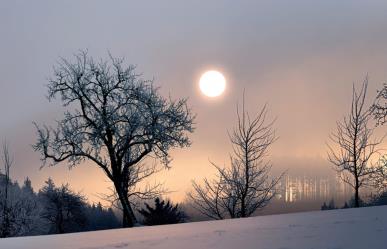 Hoy inicia el solsticio de invierno