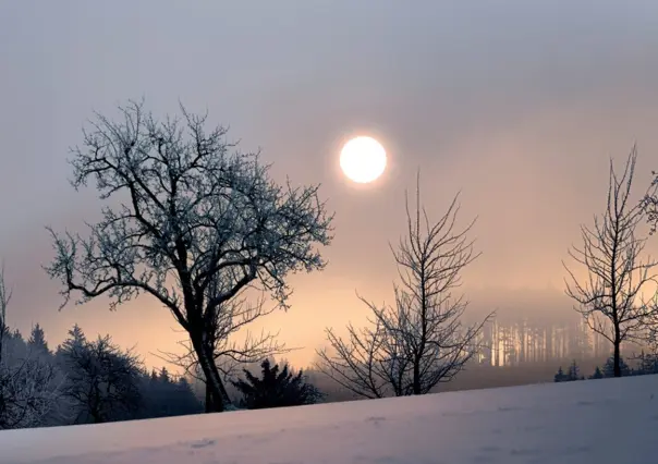 Hoy inicia el solsticio de invierno