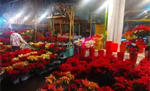Nochebuenas en CDMX: Producción y venta en el mercado de Jamaica